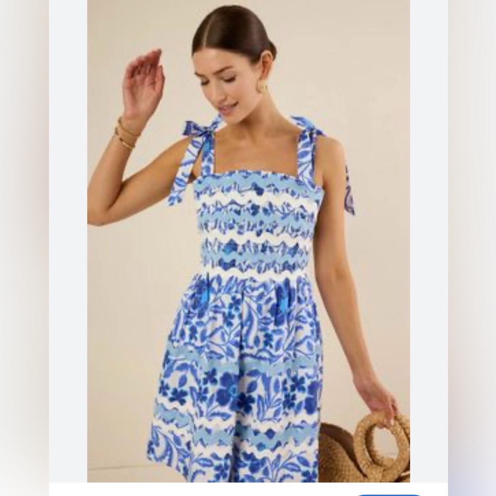 Avara Blue and White Floral Mini dress